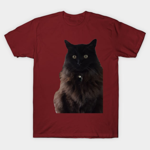 waffle the cat T-Shirt by Kaczmania